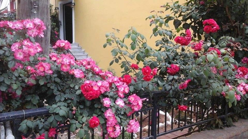 Margaritas' Rooms Агиос-Гордиос Экстерьер фото